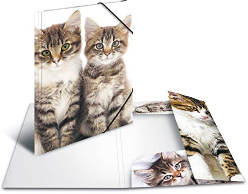 HERMA Sammelmappe A3 Katzen, Kinder Eckspanner-Mappe aus Kunststoff mit Tier Motiv, Gummizug, Innenklappen und Innendruck für Jungen und Mädchen