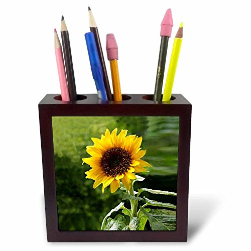 3dRose LLC Sunflower 5-Inch Tile Pen Holder