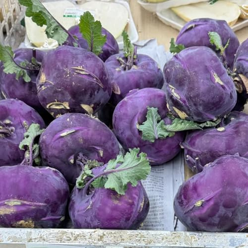 semi di cavolo rapa di vecchie varietà di cavolo rapa resistenti per il giardino verdi da appartamento resistenti 400pcs