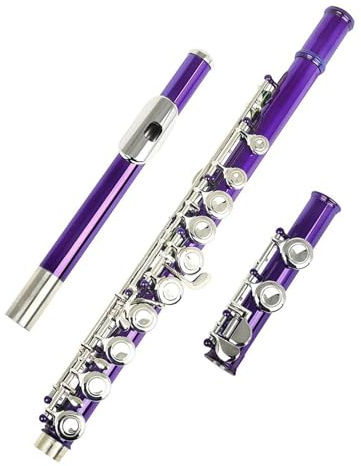tvärflöjt instrument Professionell flöjt 16 hål C Tone flöjtinstrument