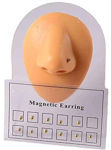 Magnetic Crystal Fake Earrings,Earrings Nose Lip Nails Clip Earring Magnet, Non-Piercing Clip Magnetic Stud Earring Magnet Nose Ear Lip Stud Piercings Hoops for Mens Women 6 Pair