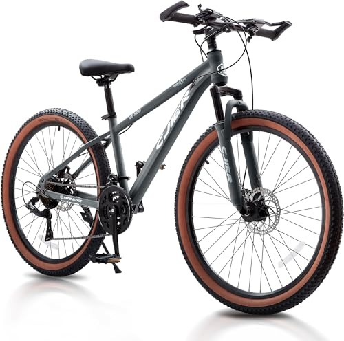 24/26 inch Kids Mountain Bike for Boys/Girls/Men/Women 21 Speeds Kids Bike, 2.125'' Tires MTB Bicycle with Suspension Fork, Dual Disc Brakes, Internal Wiring Frame, Auxiliary Handle (Gray, 24 inches)