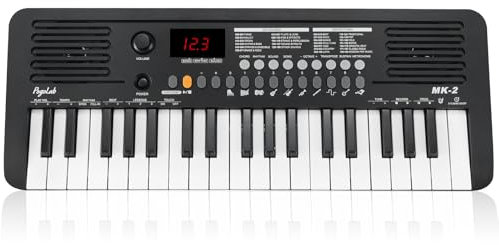 POGOLAB MK-2 Mini Keyboard Piano, Elektronisches Kinderkeyboard mit 37 Tasten, 40 Liedern, 200 Sounds, 200 Rhythmen, Digitalpiano mit MIDI-Funktion, Tragbares E-Piano (19,3 x 7,3 x 1,9 Zoll)(schwarz)