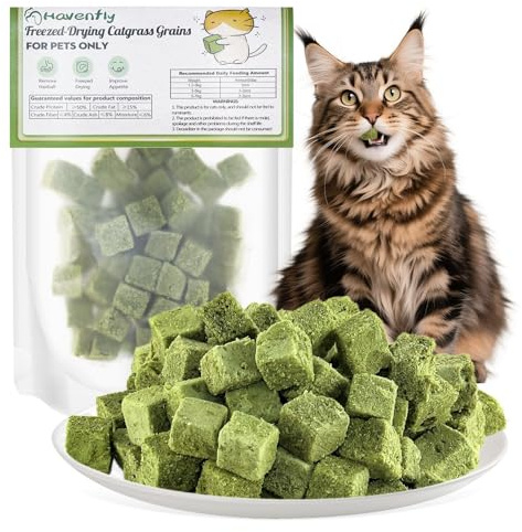 30g Golosina de Hierba Gatera para Gatos, Snack Liofilizado con Hierba Gatera para Limpiar los Dientes, Cat Grass Teething Stick