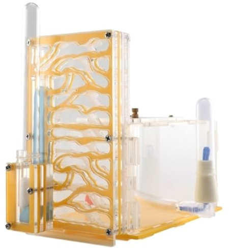 Formica Nido Castello Di Formiche Habitat Ornamentale Fattoria Kit Scientifico Educativo Nidi Casette Per Formiche(Yellow)
