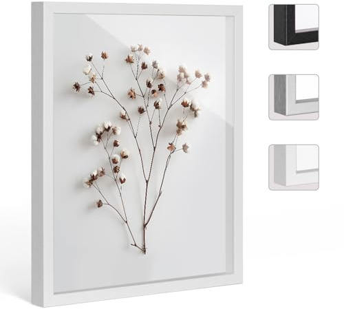 Bildershop-24 Objektrahmen FrameBox VARIO36 Weiß (matt) 60x60cm zum Einrahmen von Trikots, Blumen, Passepartouts etc.