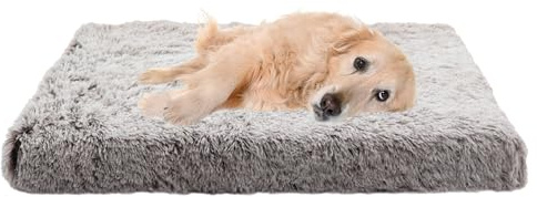 XIEMINLE Coussin Orthopédique pour Chien, Lit Anti-Stress pour Chat, Panier Grande Taille, Coussin Central Amovible, Canapé pour Animaux (75x50x7cm)