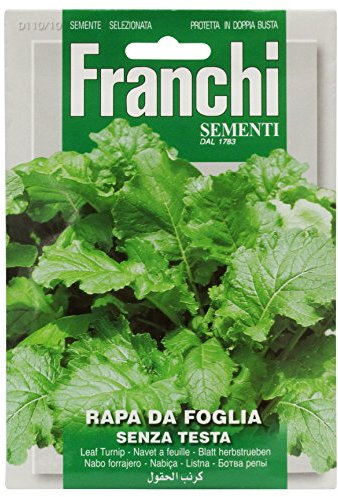Franchi Rapa Da Foglia Senza Testa