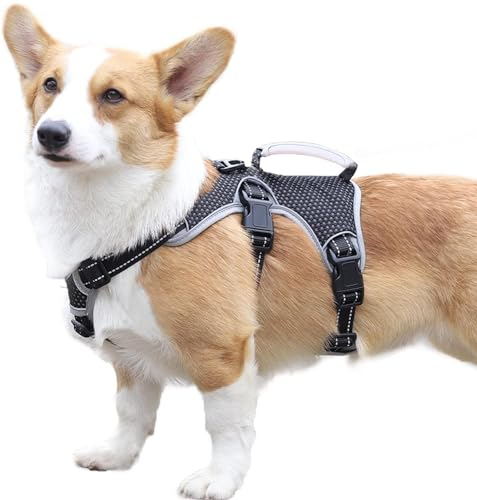Paworld Sicherheitsgeschirr Hund Ausbruchsicher, Panikgeschirr für Hunde, Mehrzweck-Hundegeschirr, Reflektierend, Verstellbare Weste mit Griff, Hundegeschirr für Große/Mittelgroß Hunde (Schwarz, S)