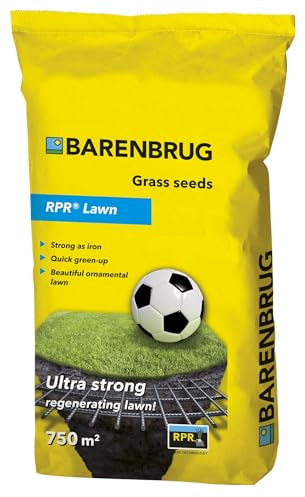 Herbe d'été Barenbrug auto-épaississant RPR Pelouse Sport Play & Sport 15kg