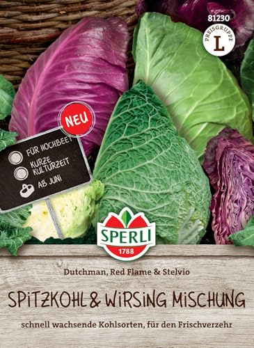 Sperli Spitzkohlsamen Dutchman F1 / Red Flame/Wirsing Stelvio 81230