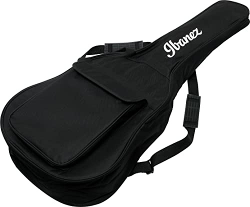 Ibanez ICB101