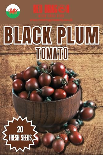 Black Plum Tomato Seeds - 20 Fresh Black Plum Tomato Seeds