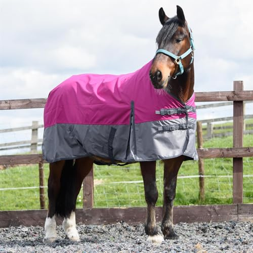 Outdoor Winterdecke Turnout 100% Wasserdicht 600D 100G Fulling - Raspberry/Grau 155cm