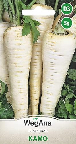 WegAna Semillas de Chirivía Kamo 5g, Variedad Mediana Tardía, Semillas de Hortalizas Robustas, Semillas de Hortalizas, Semillas de Cultivo