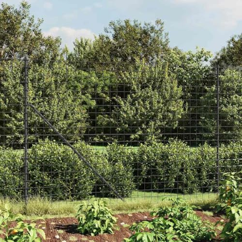 Recinzione da giardino a bastoncini, recinzione in rete metallica, antracite, 2 x 25 m, in acciaio zincato per aiuole, giardino, barriera animale