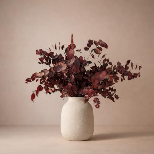 FLORES SOLIDARIAS - Flores Preservadas - Ramos de Flores Preservadas Naturales - Eucalipto Preservado - Regalo día de la Madre - Regalo Aniversario, Regalos San Valentín - Envio 24 h - Cinerea Ocre