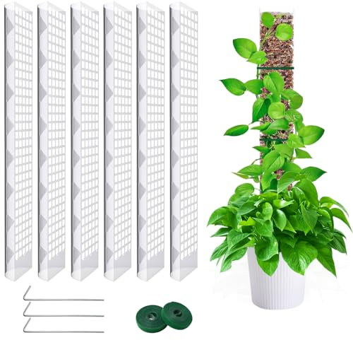 LINSOCLE 6 Pièces 60cm Tuteur Sphaigne,Tuteur Monstera, Moss Pole pour La Maison Monstera Jardin Plante Grimpantes Extension De Support De Plante