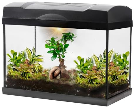 vdvelde.com - Dschungel Bonsai Mega Terrarium - - 1 Bonsai + 5 Grünpflanzen- Abmessungen: 39x21x31 cm- Netzgebundene Beleuchtung