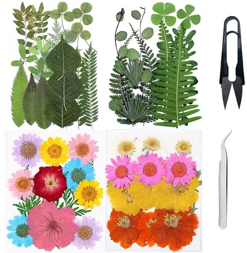 Cayway 4 Pacco Fiori Secchi per Resina Naturali Pressati Fiori Pressati Secchi, Fiori Pressati Secchi Naturali per Scrapbooking, Gioielli in Resina Epossidica ( Verde Giallo Rosa)