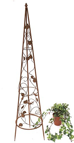 DanDiBo Support pour Plantes grimpantes Pyramide 082547 en métal 95cm bis164cm Support pour Plantes grimpantes Espalier Liane (M - 118 cm)