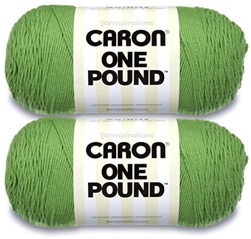 Caron One Pound Grass Green Yarn - 2 Pack of 454g/16oz - Acrylic - 4 Medium (Worsted) - 812 Yards - Knitting/Crochet