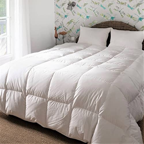 CASTEX - Couette Chaude Duvet/Coton Bio 260x240