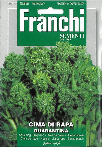 SEMI CIMA DI RAPA QUARANTINA 41/2