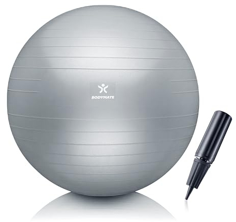BODYMATE Palla da Ginnastica, Fitness, Yoga, Core Training con E-book GRATUITO e Pompa Argento 65cm