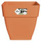 Elho Vibia Campana Carré 30 - Pot De Fleurs pour Extérieur - Ø 28.8 x H 28.2 cm - Marron/Terre Cuite