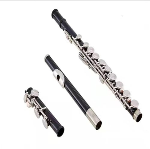 tvärflöjt instrument Flöjt 16 hål nybörjarflöjtinstrument stängt hål