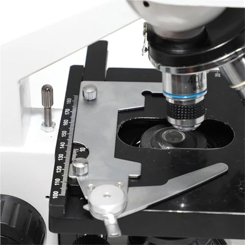 YEUBXDJ XP200 Trinocular Binocular Microscope - 40X-1600X Educational Science Lab Microscope with 12.5X Phone Holder(With Screen)