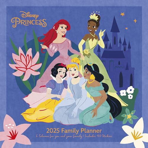 Disney princess 2025 family planner 30 x 30 cm pyramid
