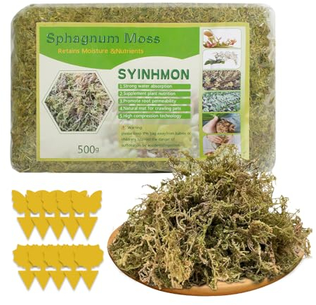 ZOYDP Sfagno per Orchidee 500g Muschio Cileno per Felci a Corno di Cervo, Piantine e Radicazione