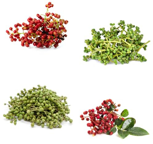 semi di peperone biologici resistenti di peperone di invernali, perenni copertura del terreno, 70pcs