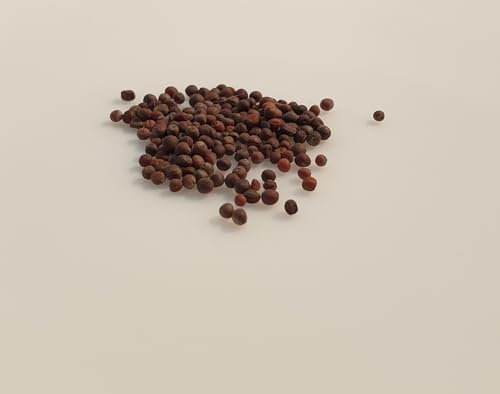 100 graines à semer - Le Grenier d'Abondance - CHOU Fleur Romanesco - Brassica oleracea