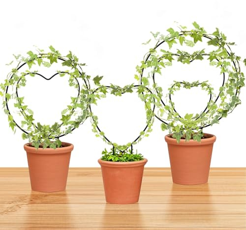 Hoya - Set di tralicci di 3 dimensioni per piante da interno, supporto per fiori, rotondi o a forma di cuore, in metallo, accessori da giardino per piccole piante rampicanti (neroCH)