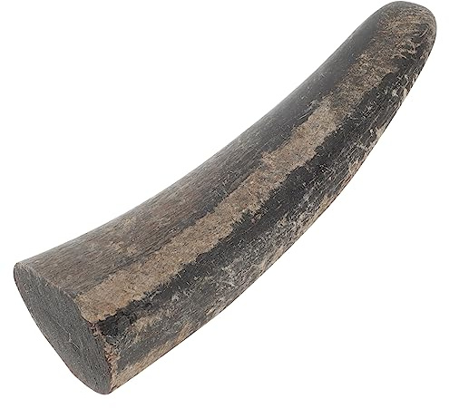 TOKIDNY Cuerno De Toro Natural Para Tallar Bocina De Bricolaje Para Artesanía Y Cuentas Materiales Para Tallado 5.31 X 1.77 X 1.06 in 1 Pieza