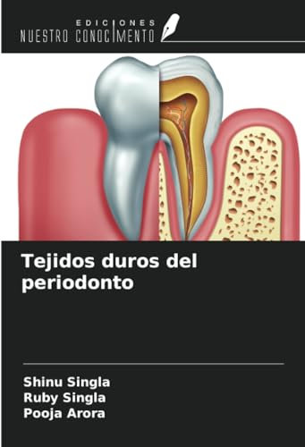 Tejidos duros del periodonto