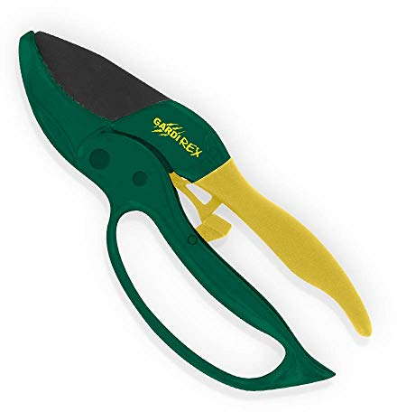 Gardirex Secateur de Jardin ergonomiques | Secateur Professionnel à Faible Force pour Les Roses et Les Fleurs avec Lame en Acier | Sécateur Vigne 24mm