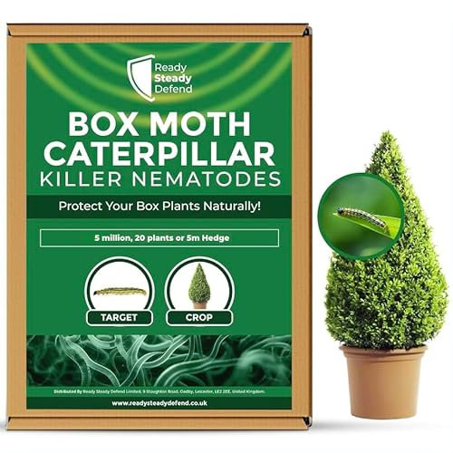 Box Moth Caterpillar Killer Nematodes 150m Hedge (50 million) - Effective Box Tree Moth Treatment for Caterpillar Infestations, Nematode-Based Solution, Natural Box Tree Caterpillar Treatment