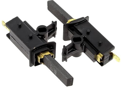 Brandt 51X9121 52X5258 - Escobillas de motor para lavadora (2 unidades)