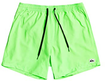 Quiksilver Garçon Everyday Volley Youth 13 Maillot de bain, Green Gecko, 16 ans EU