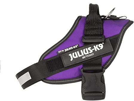 Julius-K9, IDC Powergeschirr, Größe: M/0, Dunkelviolett