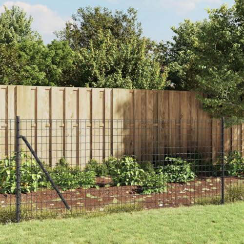 SECOLI Maschendraht mit Einschlaghülsen Maschendrahtzaun Set Absperrzaun Gartenzaun Set Komplettset Zaun Gartenzaunset Zaunset Drahtzaun Maschendraht-Anthrazit-1 x 25 m