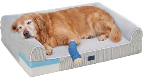 Veehoo Large Orthopedic Dog Bed for Senior Dogs with 13cm Thick Memory Foam | Thick orthopedic dog beds & 3-sided bolster for senior/injured, nonslip, removable washable cover, supports 40kg, 105x80x25cm
