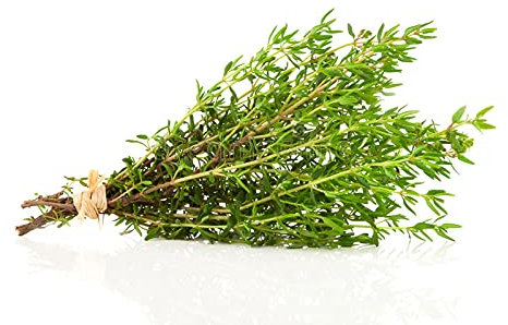 300 Samen Thymian, Heilpflanze, bäuerliche Samen, reproduzierbar, halbwild