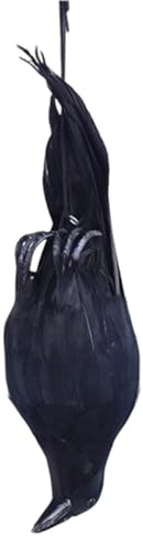 Realistisk Dead Crow Decoy – 12 verklighetstrogna hängande kråkbete | Fjädrad trädsfågel avskräckande fågelskrämma för | Halloween Utomhusdekoration Prop | Jaktdrag med rep 135g