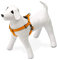 Karlie Art Sportiv Plus Geschirr 1-2-3 Step and Go neue universal Farben Mix and Match B: 15 mm Br um: 25 - 45 cm S orange
