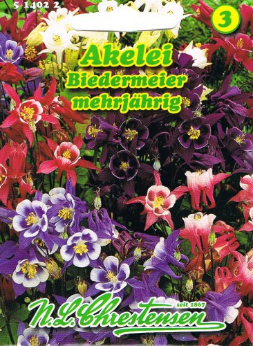 Akelei Biedermeier farbenprächtige Schmuck- und Schnittstaude 'Aquilegia caerulea' hybrida nana mehrjährig
